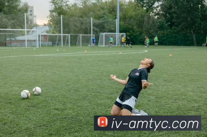 太阳城网站平台生态图