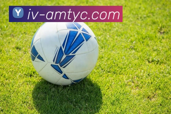 太阳城网站全站App